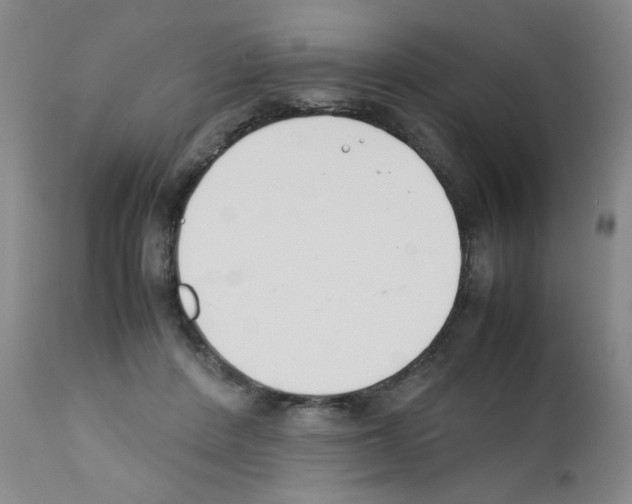 X0000111500408200908251054