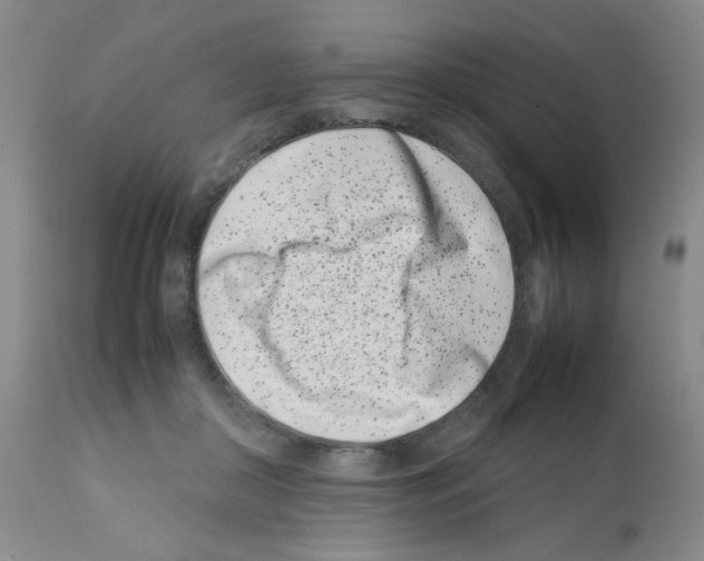 X0000111500410200908251054