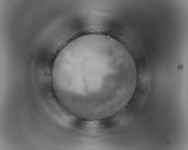 X0000111500411200908251054