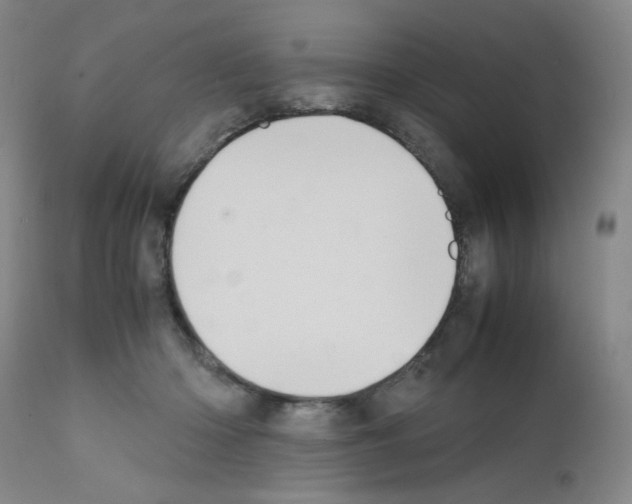 X0000111500414200908251054