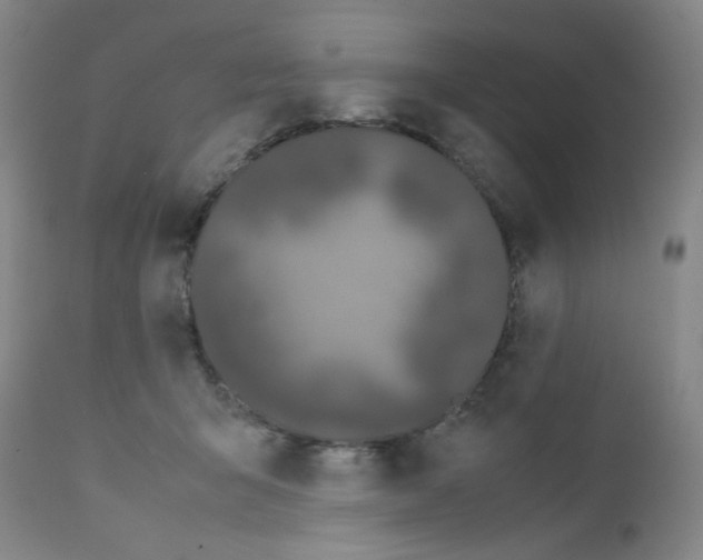 X0000111500415200908251054