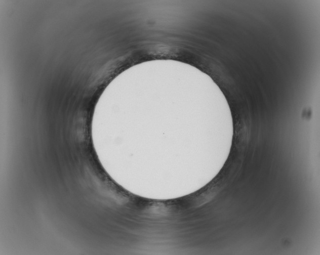 X0000111500416200908251054