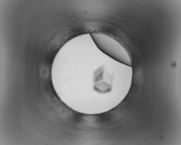 X0000111500417200908251054