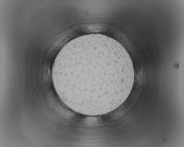 X0000111500418200908251054