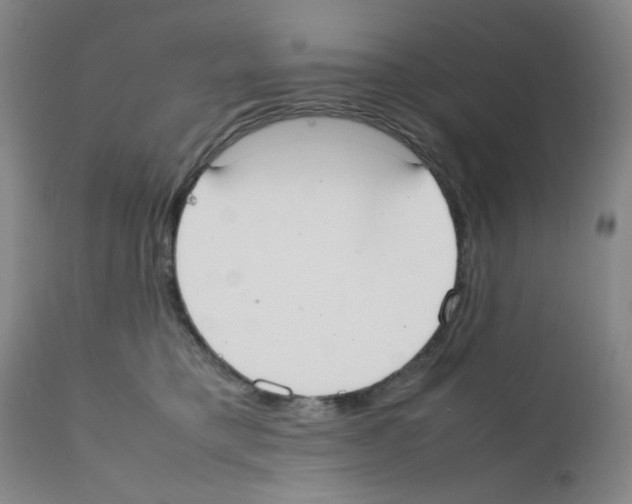 X0000111500421200908251054