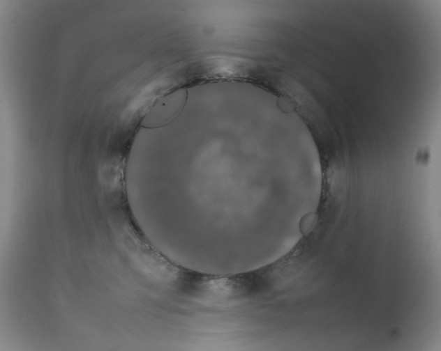 X0000111500423200908251054