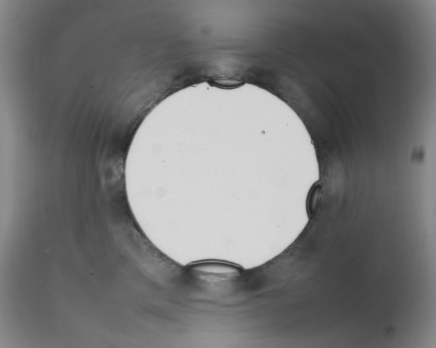 X0000111500425200908251054