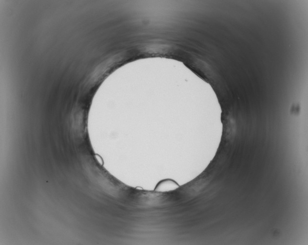 X0000111500428200908251054