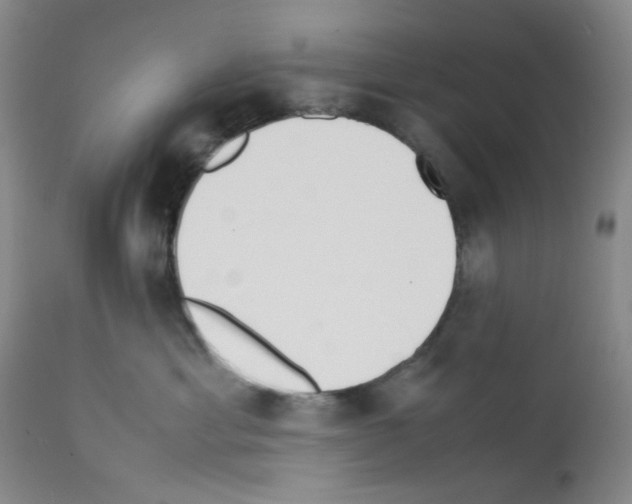 X0000111500429200908251054