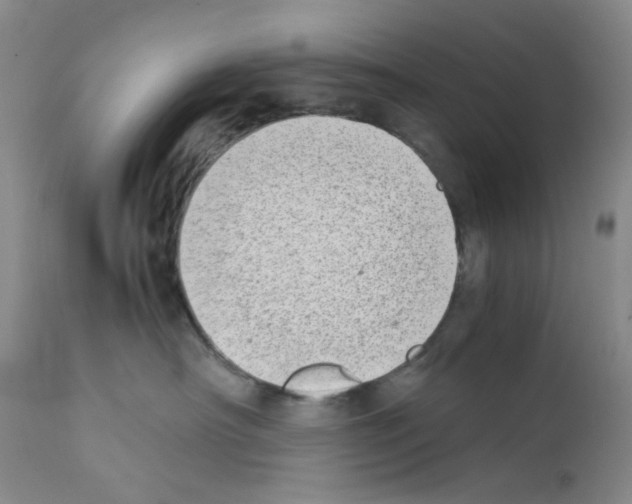 X0000111500430200908251054