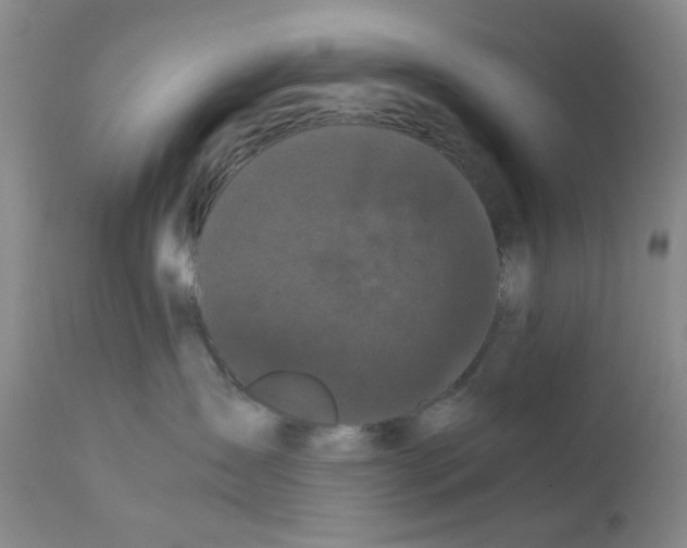 X0000111500431200908251054