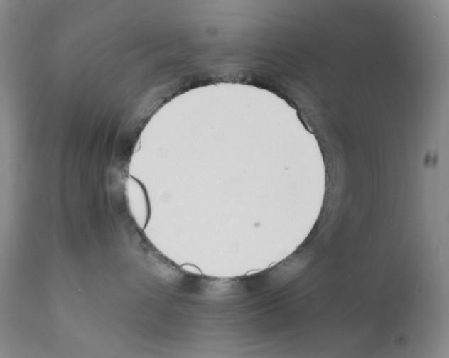 X0000111500432200908251054