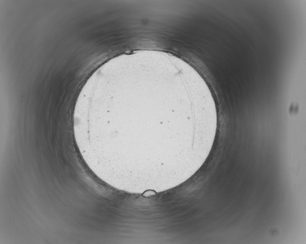 X0000111500433200908251053