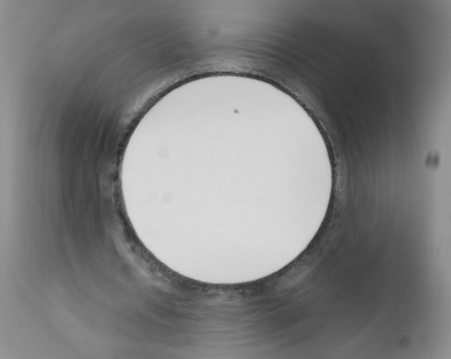 X0000111500434200908251053