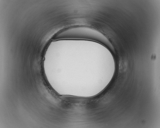 X0000111500436200908251053