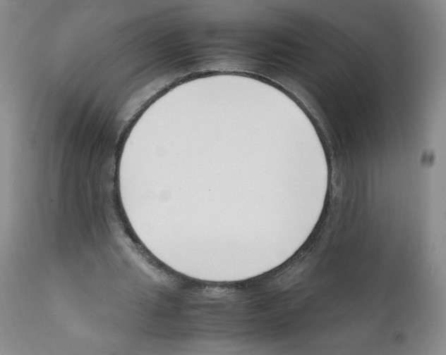 X0000111500437200908251053