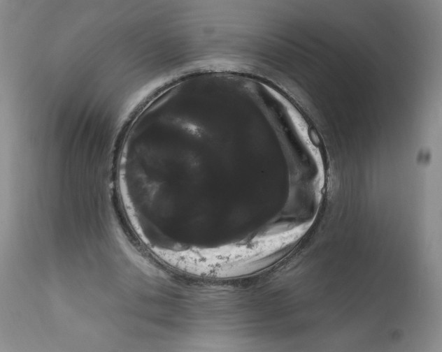 X0000111500438200908251053