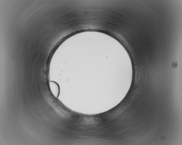 X0000111500439200908251053