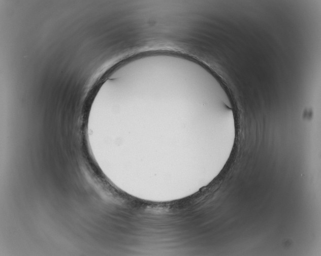 X0000111500440200908251053