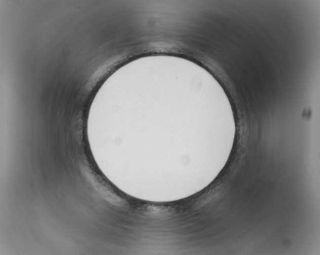 X0000111500442200908251053