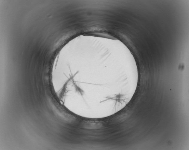 X0000111500443200908251053