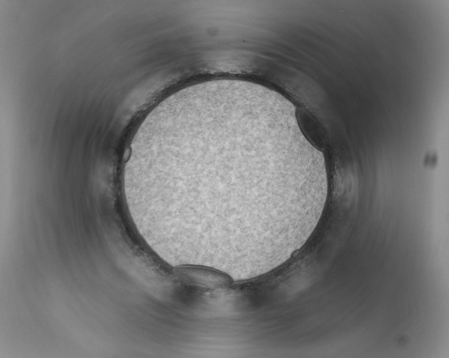 X0000111500444200908251053