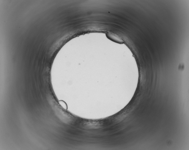 X0000111500445200908251053