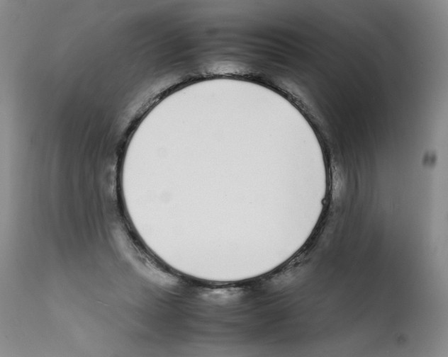 X0000111500447200908251053