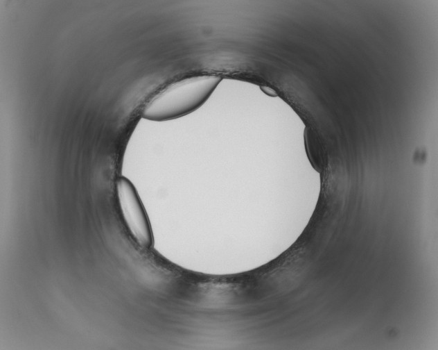 X0000111500448200908251053