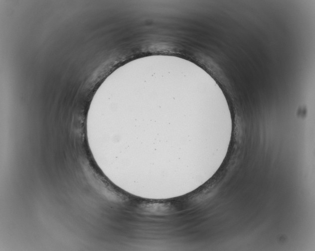 X0000111500449200908251053