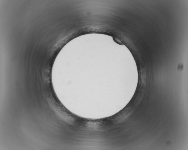 X0000111500450200908251053