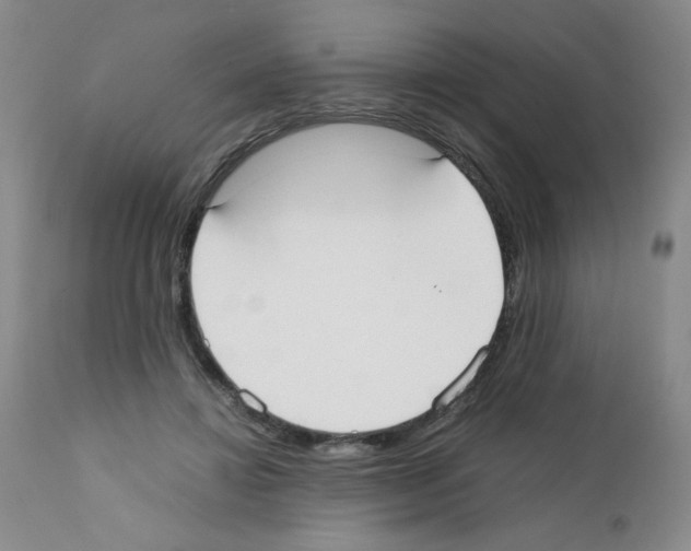 X0000111500452200908251053