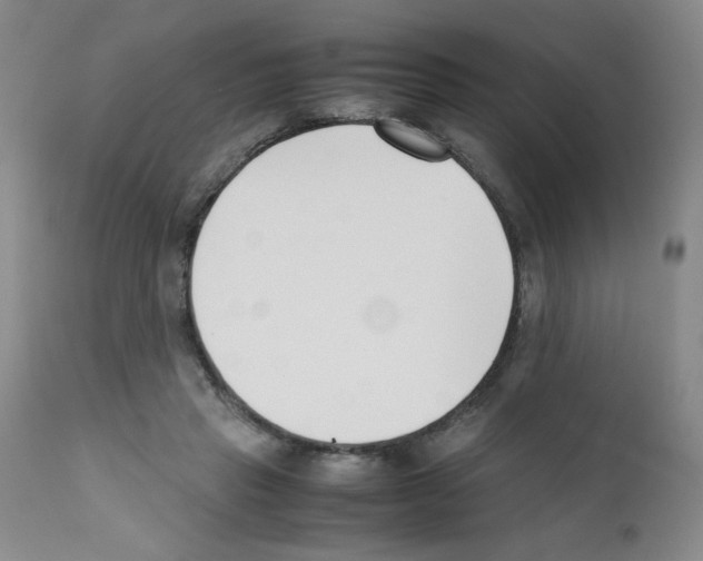 X0000111500453200908251053