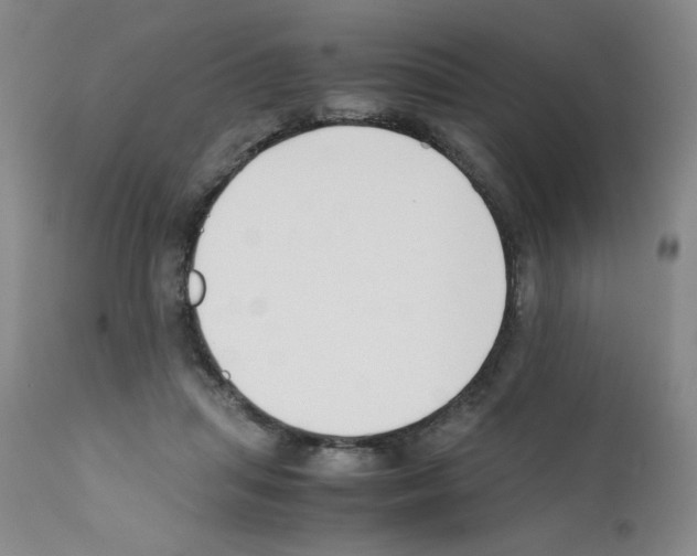 X0000111500455200908251053