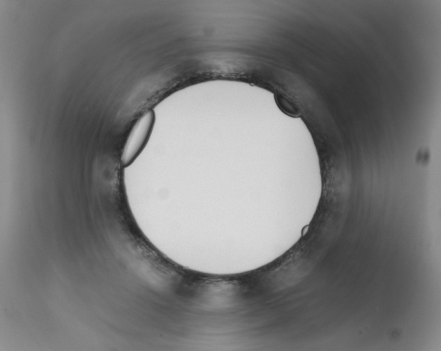 X0000111500456200908251053