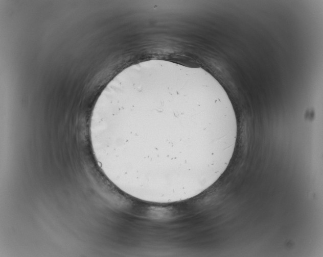 X0000111500457200908251053