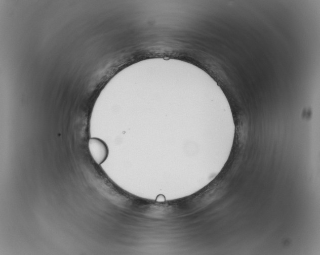 X0000111500458200908251053