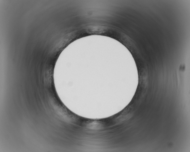 X0000111500460200908251054