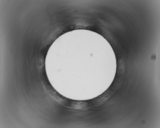 X0000111500463200908251054