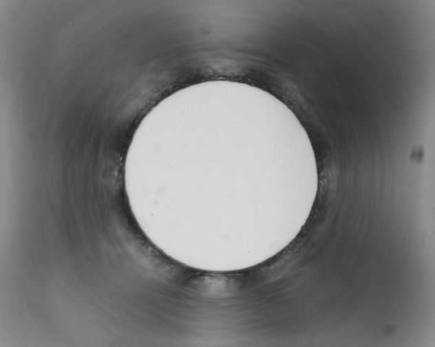 X0000111500464200908251054