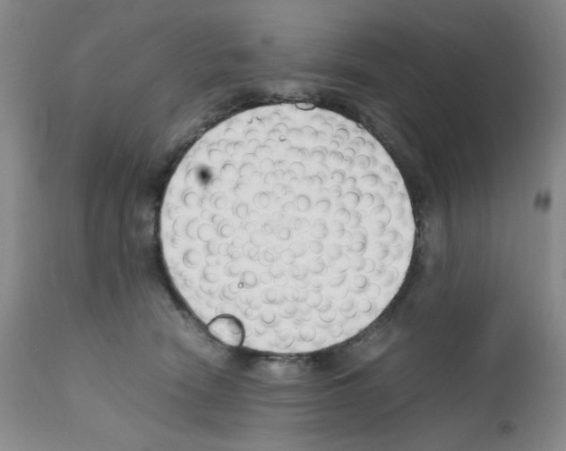 X0000111500466200908251054