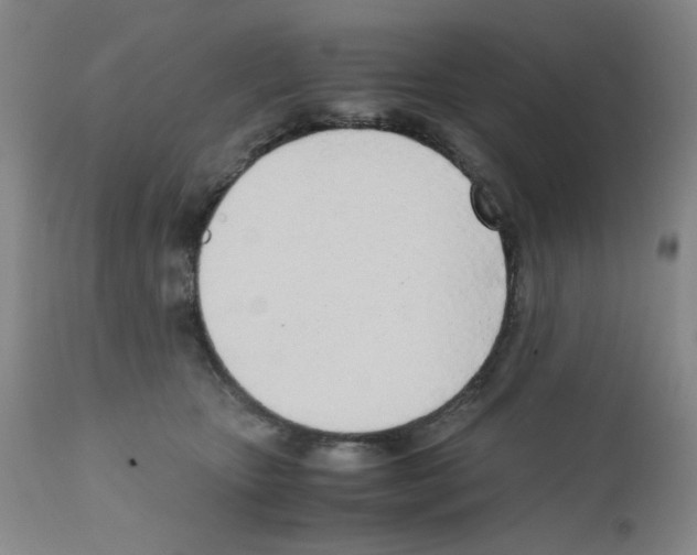 X0000111500467200908251054