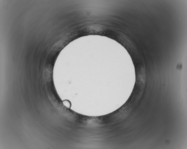 X0000111500468200908251054