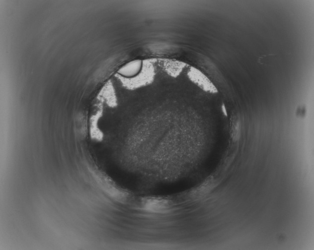 X0000111500471200908251054