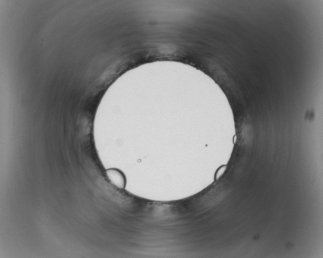 X0000111500472200908251054