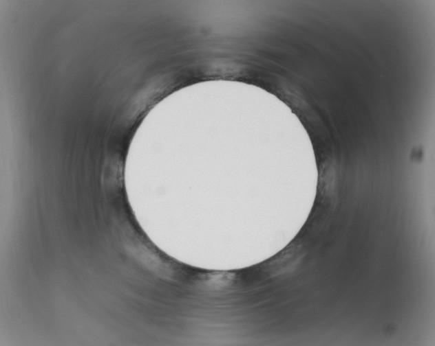 X0000111500474200908251054