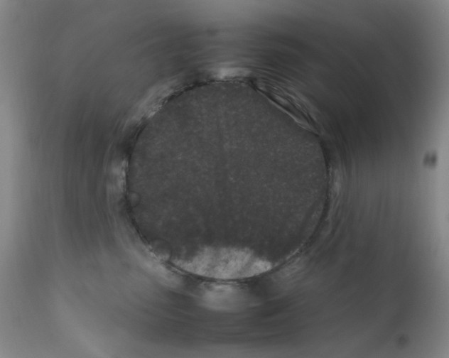 X0000111500475200908251054