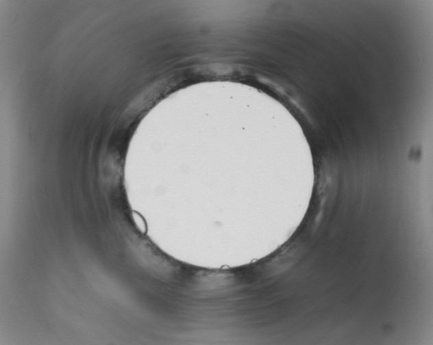 X0000111500476200908251054