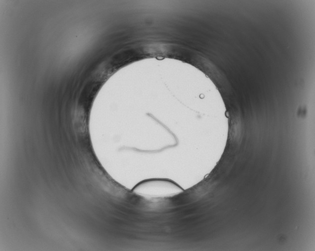 X0000111500477200908251054