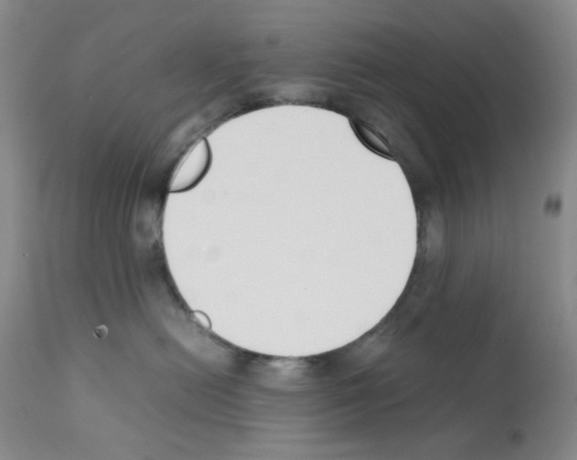 X0000111500478200908251054